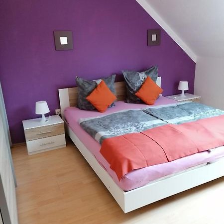 Ferienwohnung Mannes Lauingen Екстер'єр фото